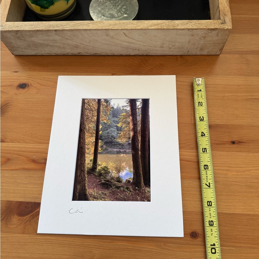 New Original Signed Photography - Picture 3 of 4